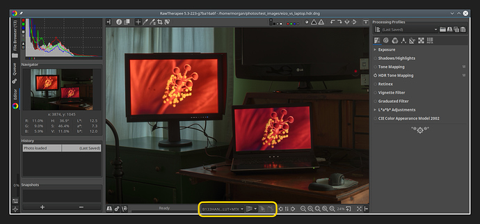 rt_editor_monitor_profile