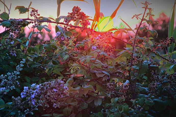 v01