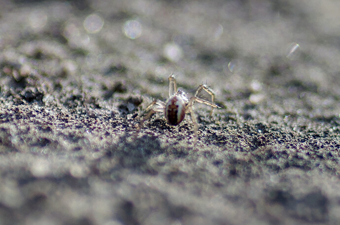 260228_164815_DSC08920