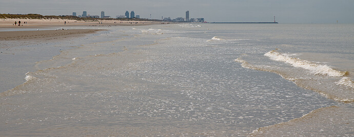 IMG_2293_02