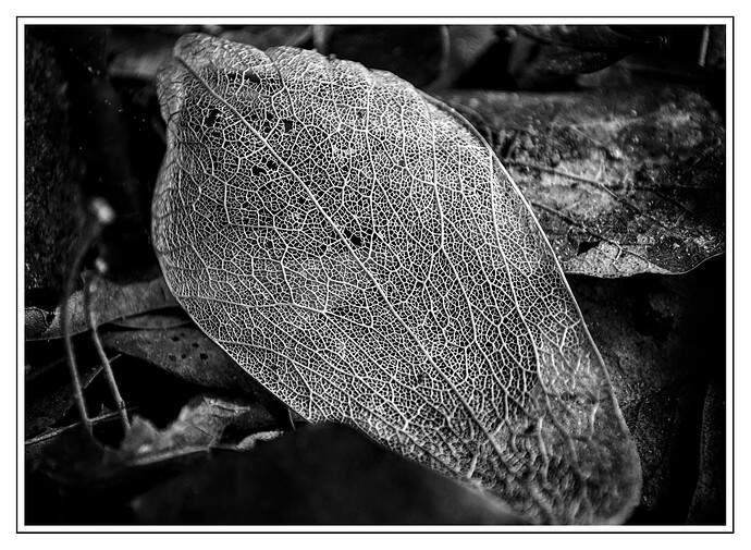 DSC_0228_02