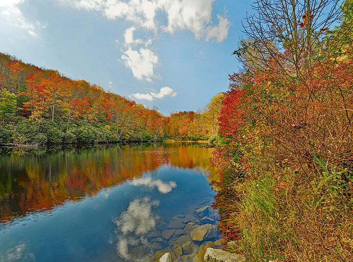 2025-10-18 11.38.12 - Autumn in Appalachian_03