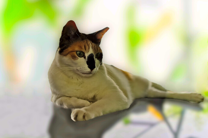 A7404802 RawTherapee and GIMP Color Lab (1)