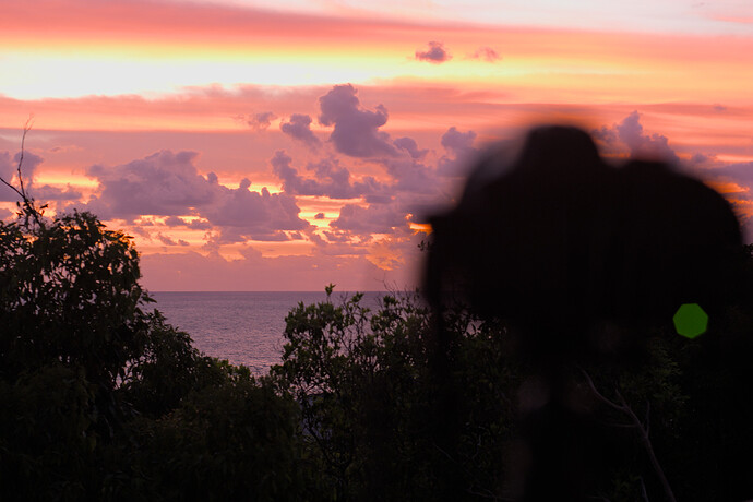 2020-12-11_04-35-31.90_DSC7355