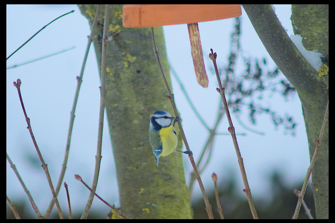 260127_111128_DSC08423-1