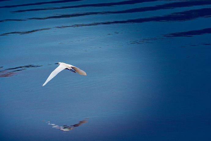 2020-02-07_12-13-22.35_DSC9547.NEF