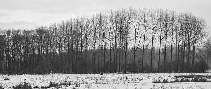 20260108-133405-DSC_2166