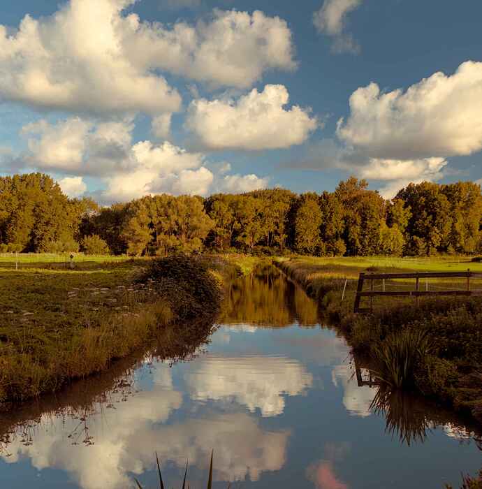 2021_11_TUTORIALESclouds_01