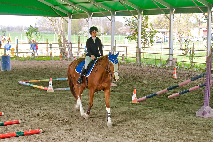 IMG_6624 Bitless_I_2023_1