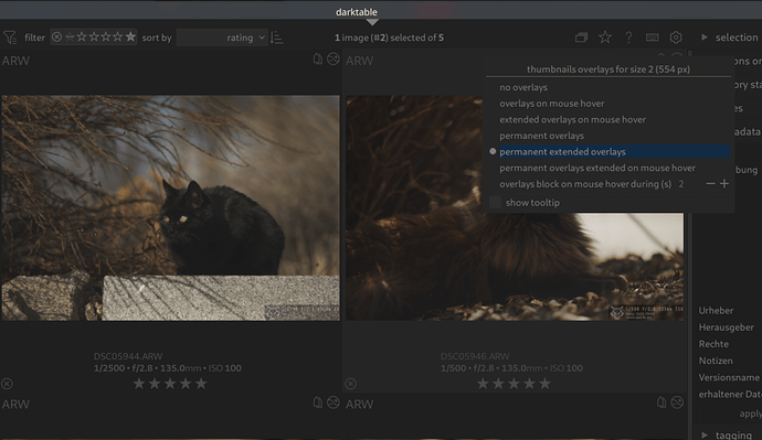 Bildschirmfoto_20251024_163756