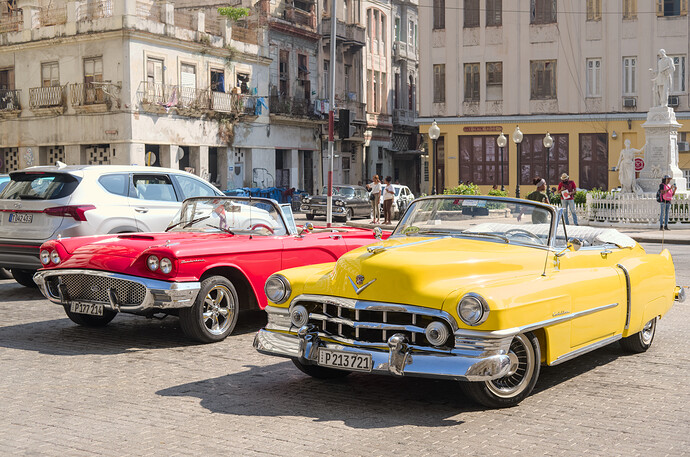 _DSF7627_dtdev_2_med