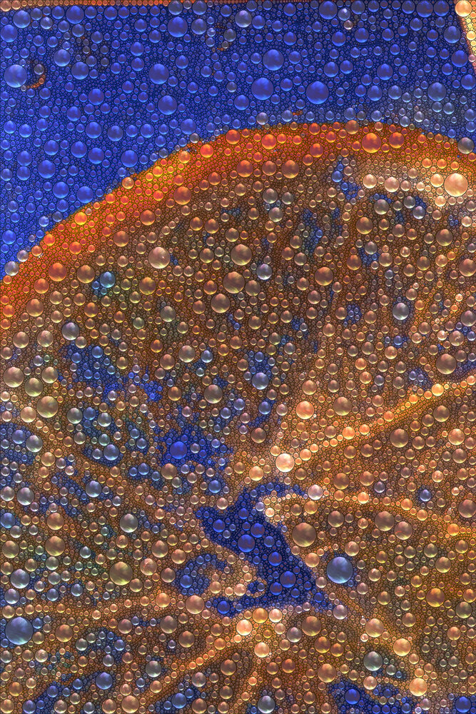 2026-01-08_Jan At Home_101