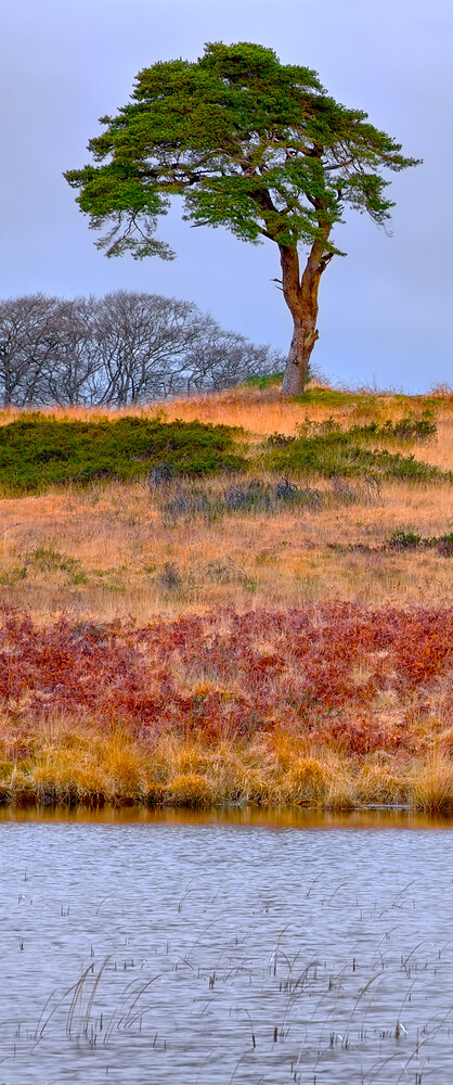 2026-01-02 _MG_8061_01