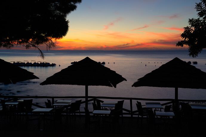 _DSC5596 (RawTherapee)