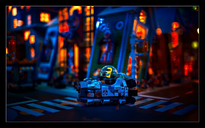 251116_120717_DSC06013