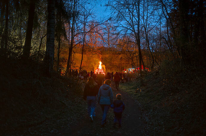 260404_202536_DSC09408_01