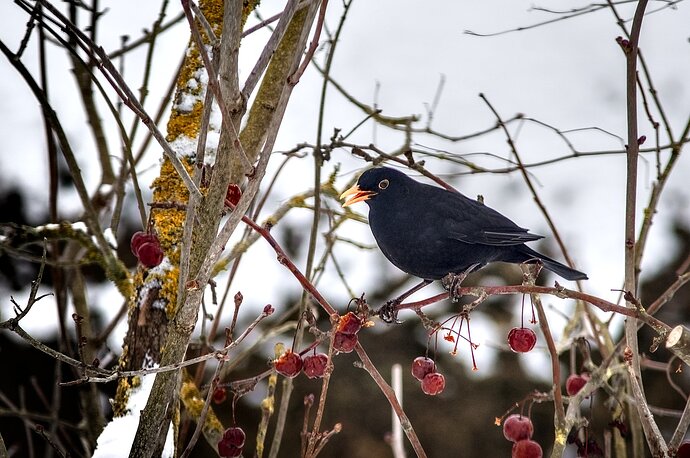 260127_110912_DSC08407_03