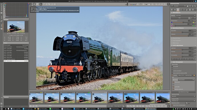 ART FS2 Adobe DCP - Tone Curve