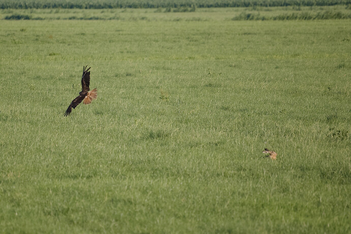 20260710-201126-Z50_2-_DSC0923-0.NEF