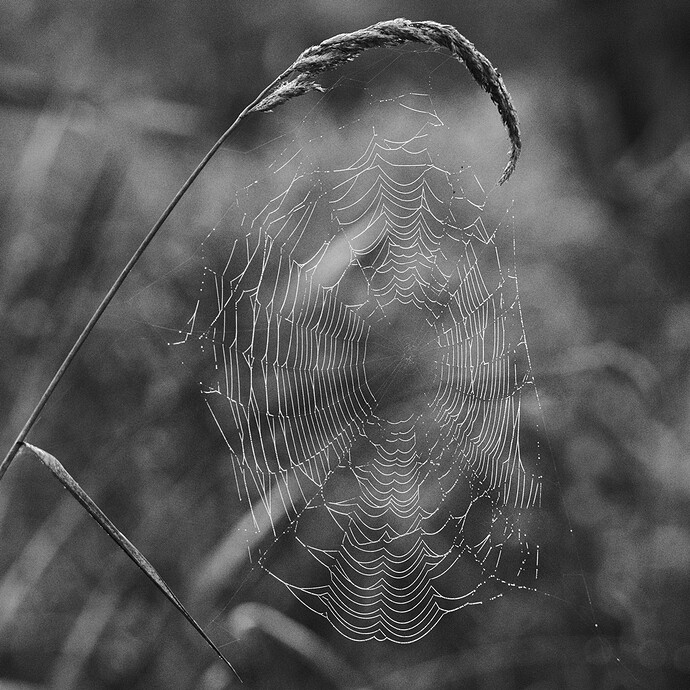 FWR_9052_02