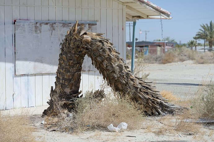 2025-04-05_14-09-22_DSC1647