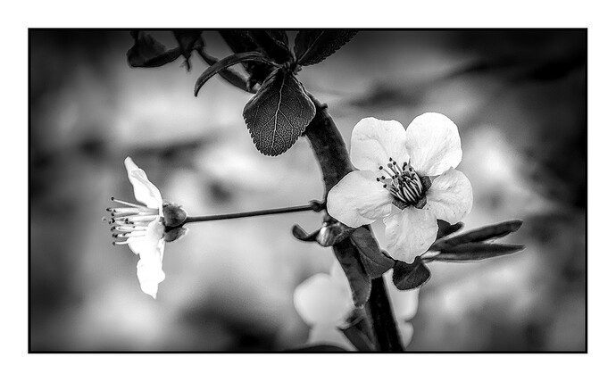 DSC_6721_04
