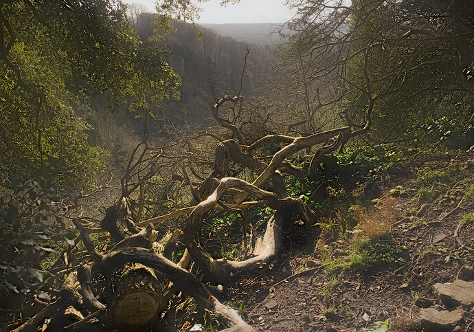 _6D_12293-comp-small