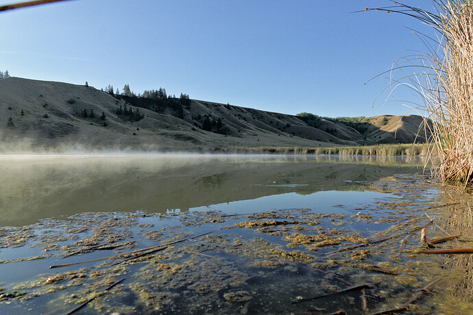 _DSC1450_2