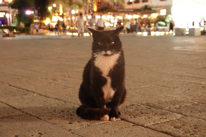 DSC01715
