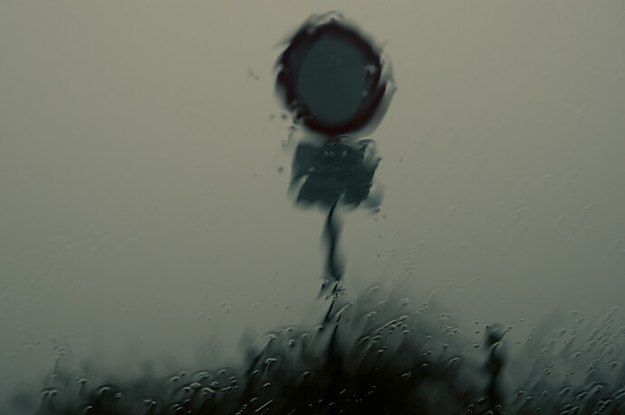 2025-12-13 14-38-10 E-M1MarkII 44870 - Bei Rohren - Eifel_01