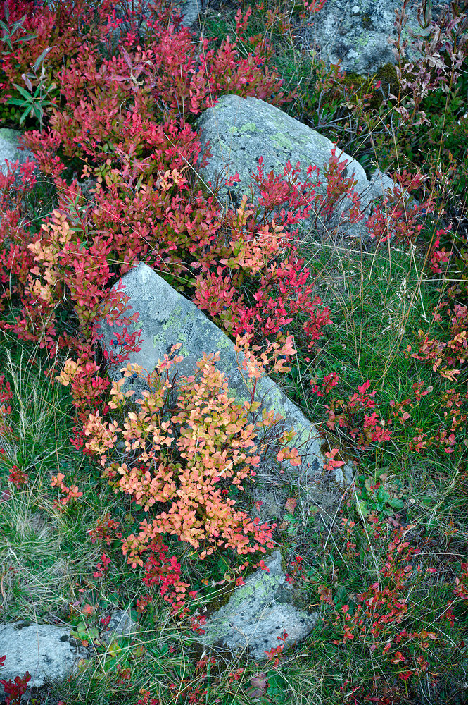 20250913_2025-09-13 nendaz_0091_02