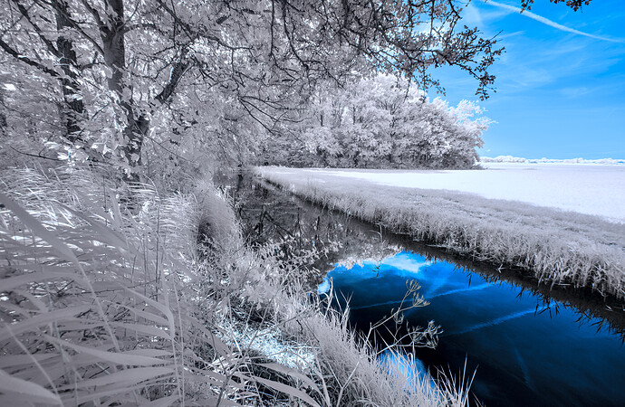 2022-08-08-IRGP4981-Wandeling-ISO100