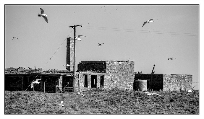 20250523-1716-9868_01