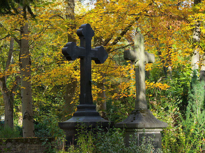 2025-11-02 15-30-58 E-M5MarkII 44277 - Köln Melaten