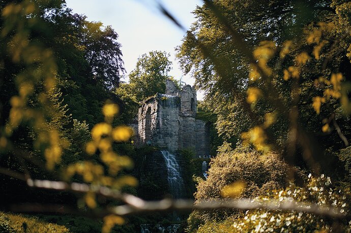 dt-spektrafilm: Portra 160; some push
