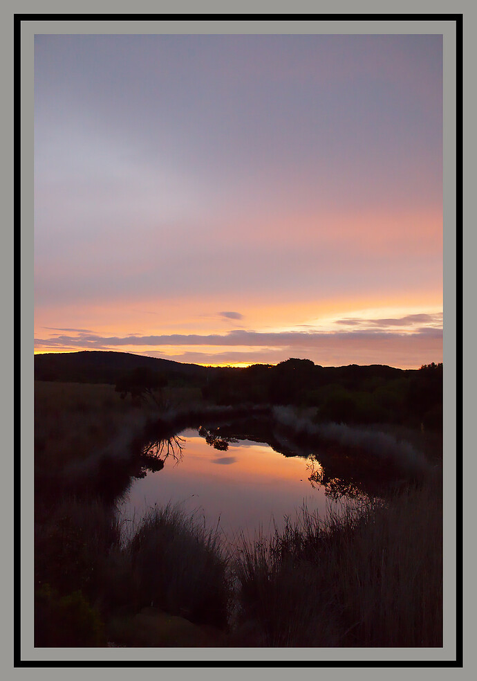 2025-08-22_06-44-39.47_DSC8841