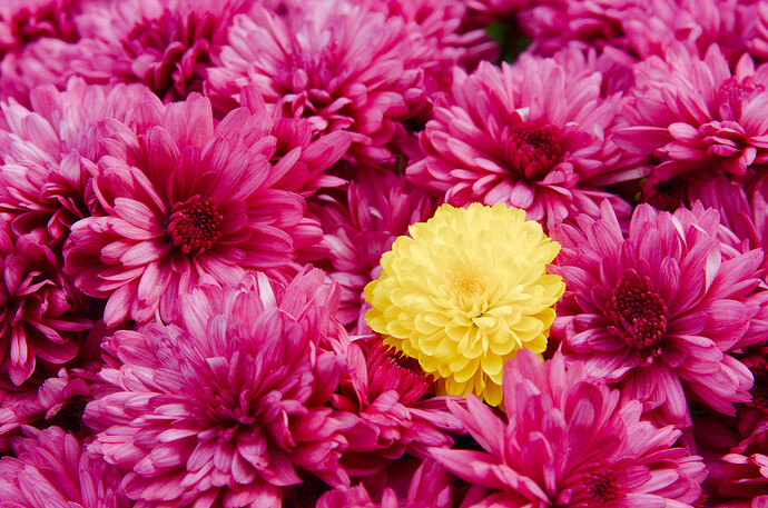 2019-10-31-_DSC0488_LR