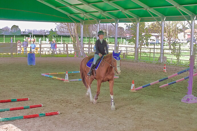 IMG_6624 Bitless_I_2023_1.cr2