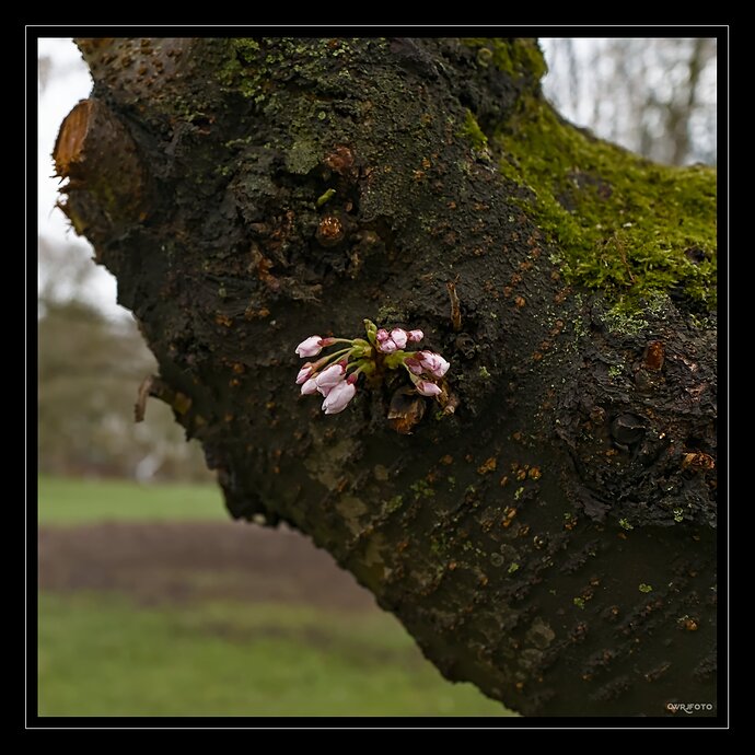 2603_MaerzSonntag_0018_01