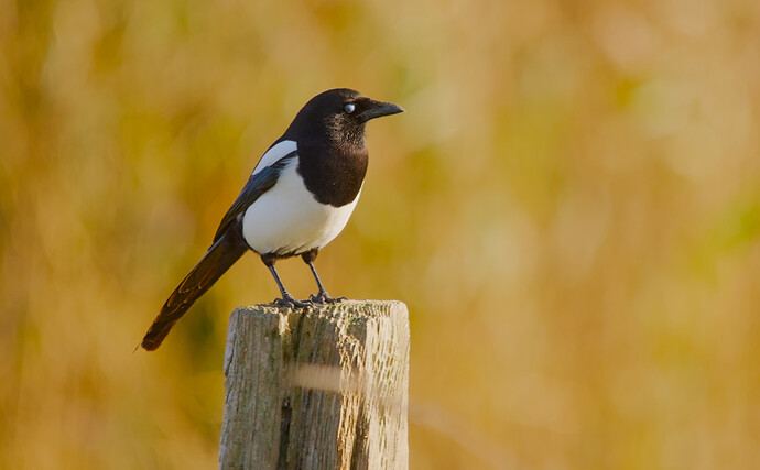 _DSC_1734_2025-12-14_02