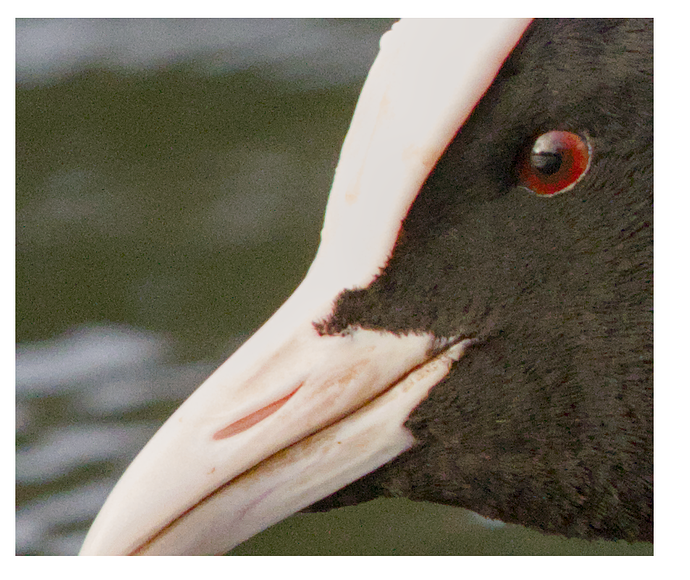 Skärmbild från 2023-12-28 19-33-01