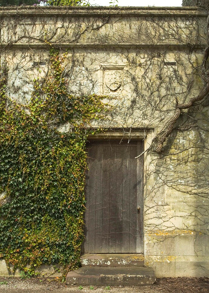 _MG_1092 Tyntsfield door ivy wall