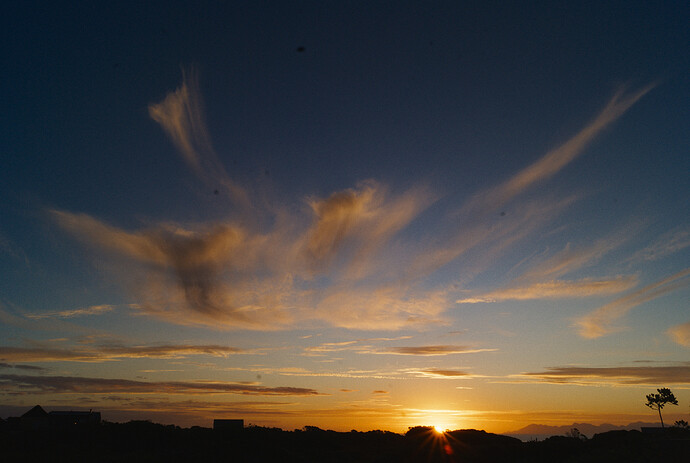 _DSC1595
