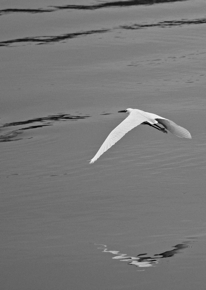 2020-02-07_12-13-22.35_DSC9547