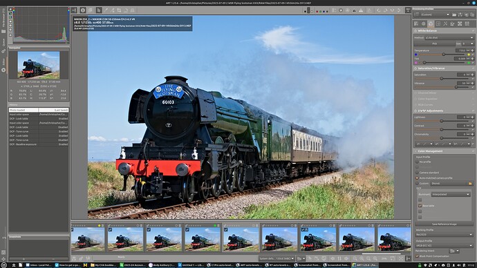 ART FS2 Auto-matched camera profile