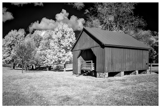 _DSC1996