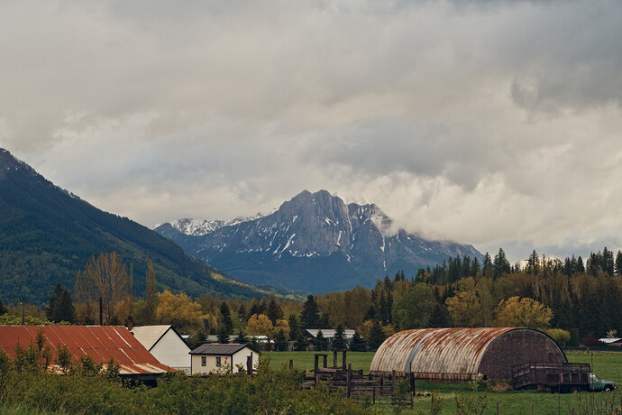 _DSC5510 (2)