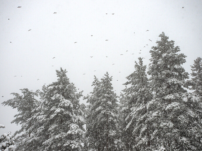 P1040084-GIMP-LAB_DenoiseGMIC