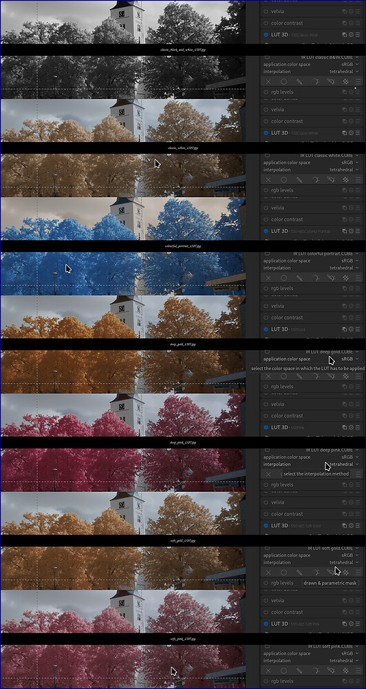 strips_montage-2026-web