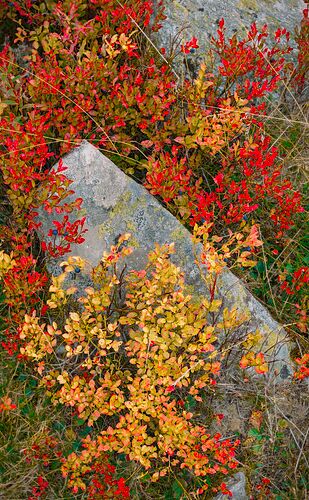 20250913_2025-09-13 nendaz_0091 P3 v2